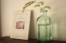 ���C�ɓ���T�[�t�B��DVD�@Casthles in the Sky